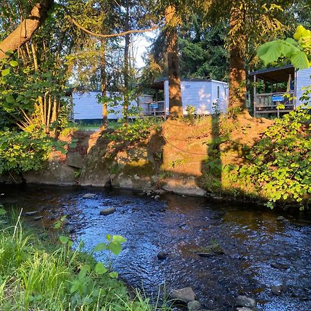 S-Chalet Camping Mit Comfort Im Schwarzwald Steinach  Zewnętrze zdjęcie