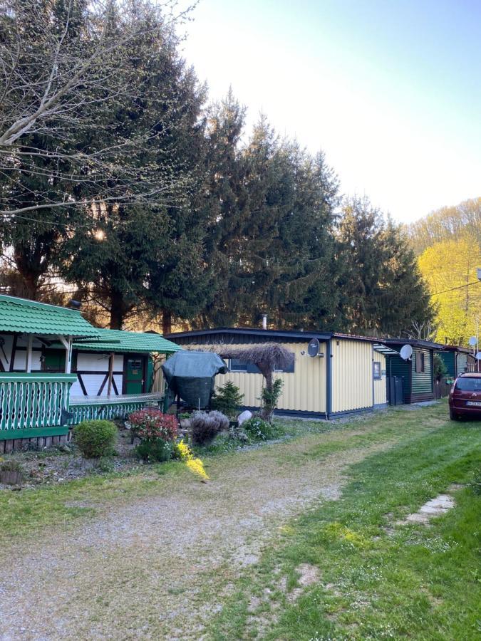 S-Chalet Camping Mit Comfort Im Schwarzwald Steinach  Zewnętrze zdjęcie