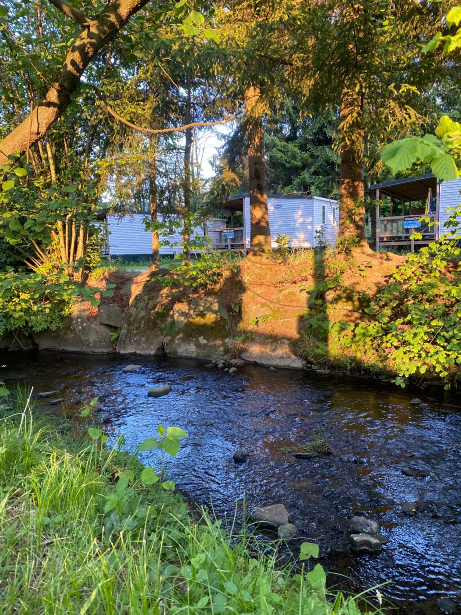 S-Chalet Camping Mit Comfort Im Schwarzwald Steinach  Zewnętrze zdjęcie